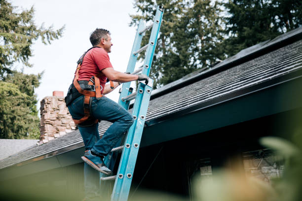 Best Roof Maintenance and Cleaning  in Rock Hall, MD