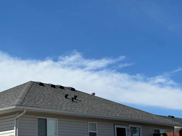 Professional Roofing Service in Rock Hall, MD
